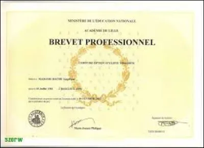 Quel est le niveau de diplôme d'un BP coiffure ?