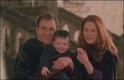 Comment sont morts les parents de Harry Potter ?