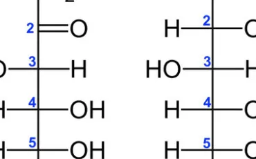 Quiz Sciences