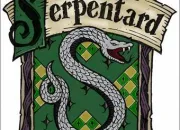 Test A combien de % es-tu Serpentard ?