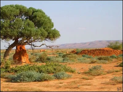 Géographie - La Somalie se situe en Afrique de l'Est, mais plus précisément :