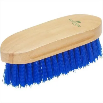 Quelle est cette brosse ?