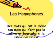 Quiz Homophones courants