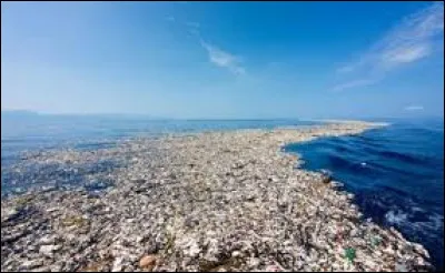 Tu vois le fameux "continent de plastique", un continent qui se déplace et qui est fait de plastique. Face à cette catastrophe, que décides-tu de faire ?