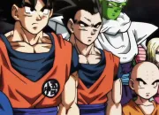 Test Dragon Ball Super : Qui es-tu dans l'Univers 7 ?