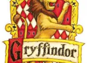 Test  combien de % es-tu Gryffondor ?