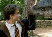 Quiz Quiz de rapidit Harry Potter : animaux et cratures magiques