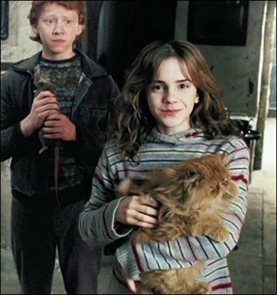 Comment s'appelle le chat d'Hermione ?