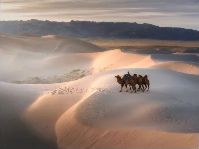 Qui interprète Iznogoud dans le film éponyme ?