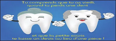 On appelle postiches les vraies dents.