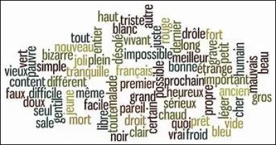 Quel adjectif vous décrit-il le mieux ?