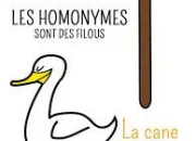 Quiz Les homonymes #1