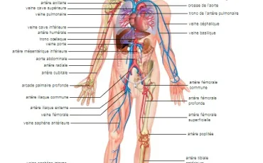 Quiz Sciences