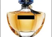 Quiz Quelques parfums aux notes orientales