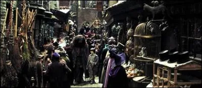 Comment Harry part-il de chez les Dursley lors de sa première année à Poudlard ?