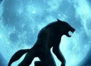 Test Es-tu un loup-garou ou un humain ?