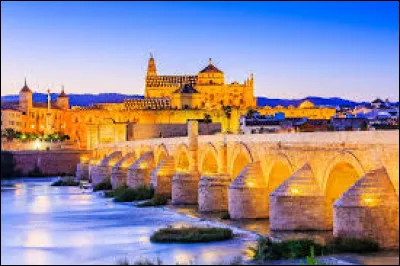 La capitale de l'Andalousie est Séville.