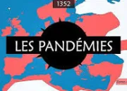 Quiz Les grandes pandmies