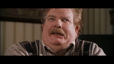 Quelle entreprise Mr. Dursley dirige-t-il ?