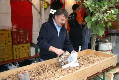 Comment appelle-t-on un cultivateur qui pratique la monoculture du noyer commun ?