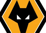 Quiz Connais-tu parfaitement les joueurs de Wolverhampton ?