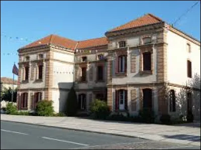 Je vous propose de commencer notre balade en Occitanie, à Briatexte. Ville de l'arrondissement de Castres, elle se situe dans le département ...