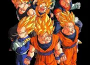 Quiz Dragon Ball