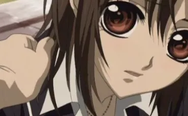 Quiz Vampire knight