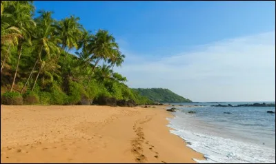 Où veux-tu aller pendant les vacances ?