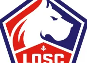 Quiz Quizz sur le LOSC