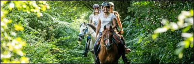 Tu es en randonnée et une petite fille de 6 ans n'arrive plus à contrôler son poney. Elle crie et pleure fort et elle est située un peu derrière ton cheval. Que fais-tu ?