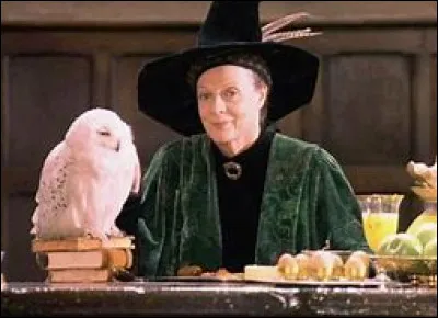 Quelle est la particularité de McGonagall ?