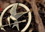 Test Survivrais-tu aux Hunger Games ?