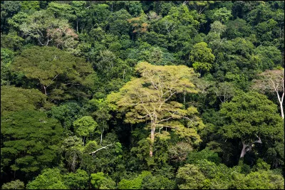 Pour commencer je vais vous demander dans quel pays se situe Kinshasa ?