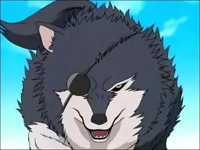 Il appartient  Tsume Inuzuka :