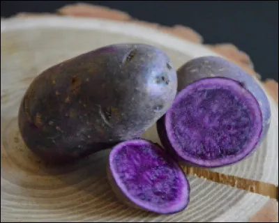 Quelle est cette variété de pomme de terre ?