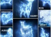 Test Quel est ton patronus ?