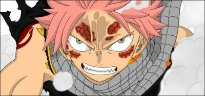 Qui est Natsu ?