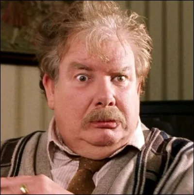 Quelle enteprise de perceuses Vernon Dursley dirige-t-il ?