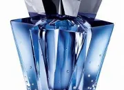 Quiz Parfums de stars