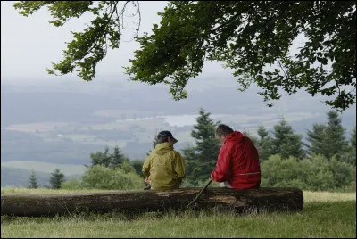 Quel est le nom de l'ensemble des disciplines qui étudie les relations entre l'homme et le monde végétal dans le passé ?