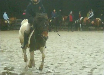 Au galop , quel antrieur doit avancer le plus ?