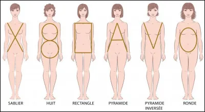 Tu as une morphologie en...