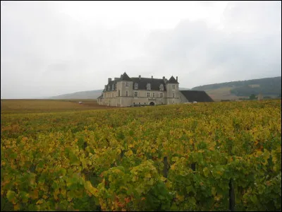 Quelle reine de France fut enfermée à Château-Gaillard ?