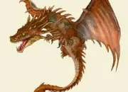 Quiz Le grand quiz des Dragons