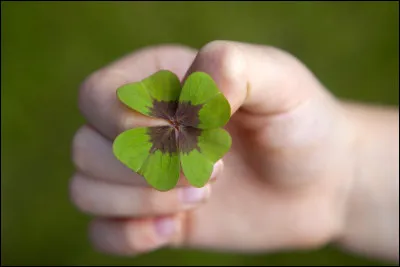 Selon les chrétiens, pourquoi le trèfle à quatre feuilles porte-t-il bonheur ?