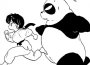 Quiz Connais-tu Ranma 1/2' ?