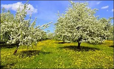 Dans les pôles, on ne parle pas de "saisons" mais de jours et de nuits polaires.