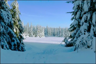 Ce matin, lorsque vous passez la tête par la fenêtre, vous voyez un paysage givré. Un peu de vert, un peu de marron sur certains feuillus pas complètement recouverts de neige. Cette belle saison blanche, vous la connaissez bien. Il s'agit :