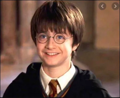 Qui est Harry Potter ?